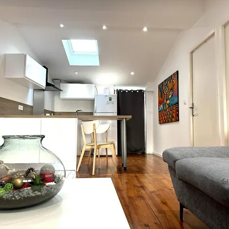 Appartement Spacieux & T3, 2 En Hyper Centre Vienne (Isere)
